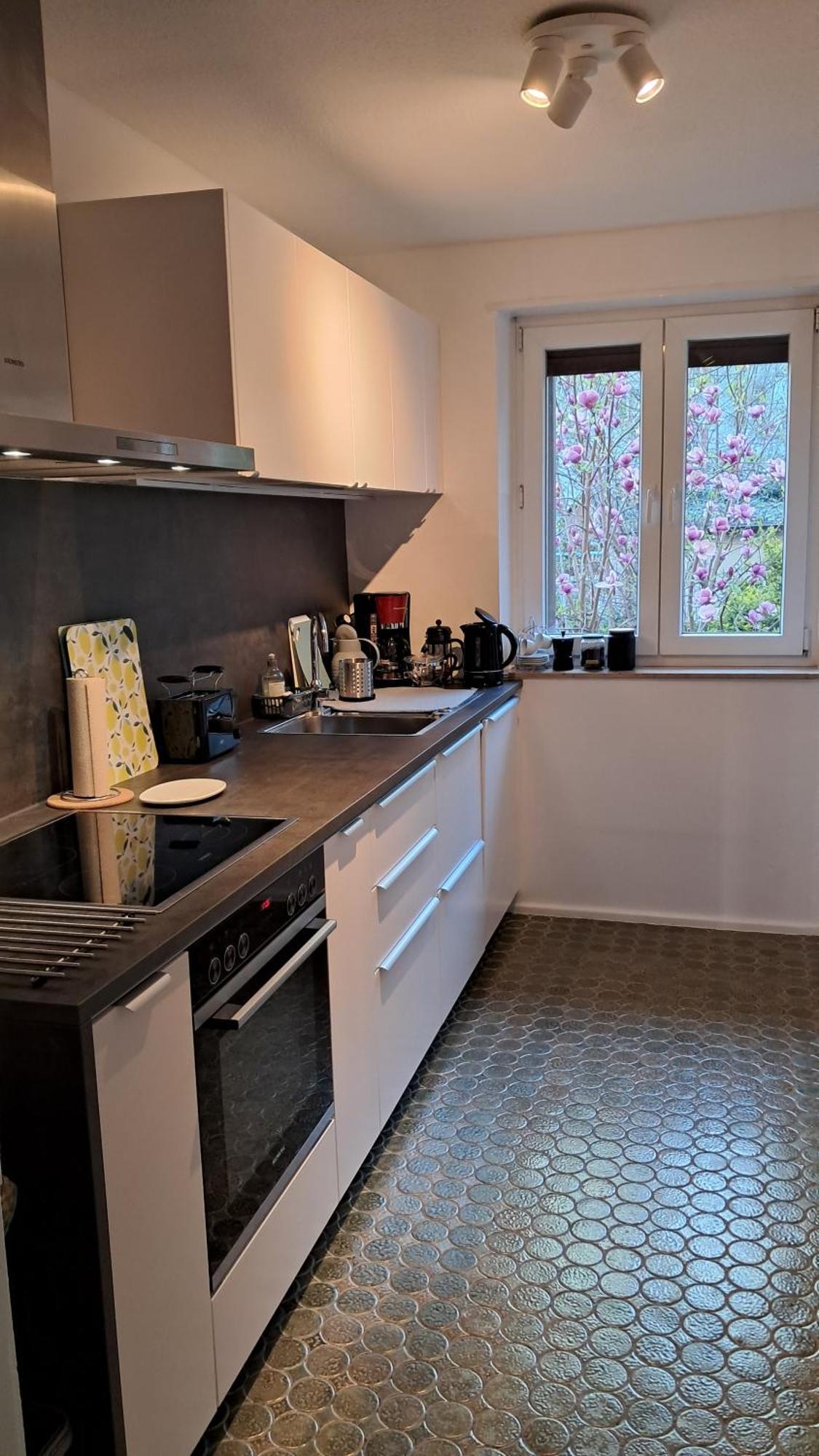 Wohnung Medicus, 3 Zkb, Balkon, Garten, Naehe Stadtpark, Ruhig Кайзерслаутерн Экстерьер фото