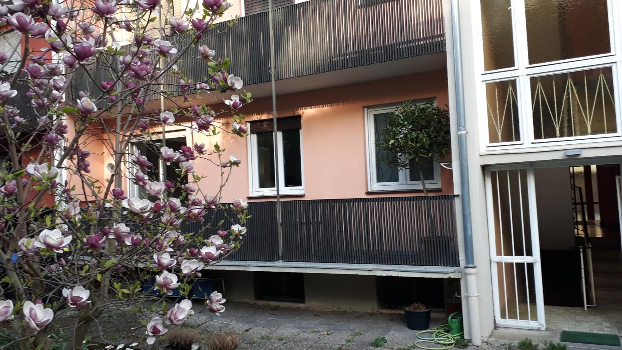 Wohnung Medicus, 3 Zkb, Balkon, Garten, Naehe Stadtpark, Ruhig Кайзерслаутерн Экстерьер фото